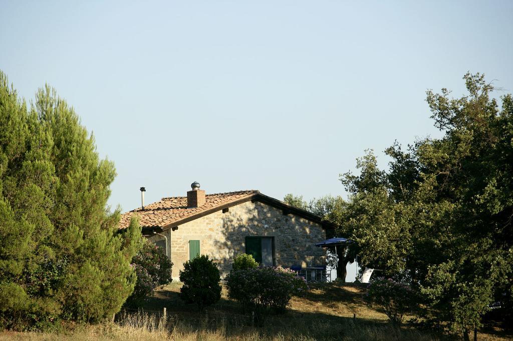 Вилла Fattoria Poggio Foco Манчиано Номер фото