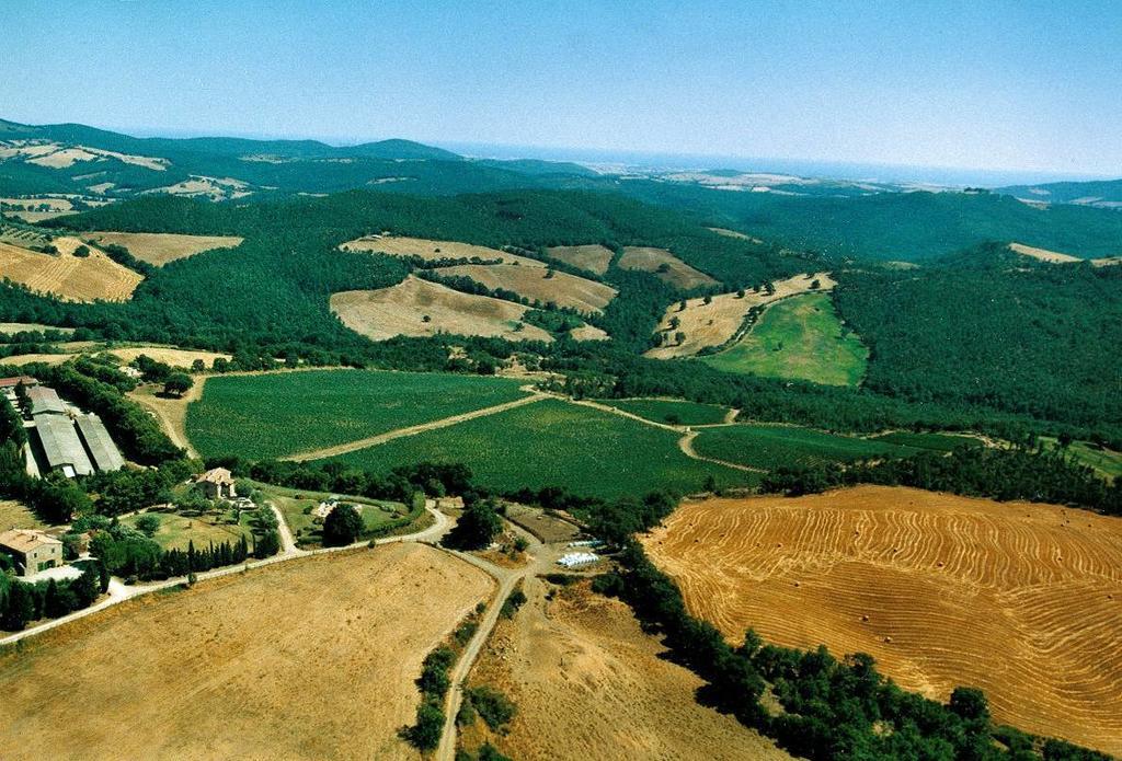 Вилла Fattoria Poggio Foco Манчиано Экстерьер фото