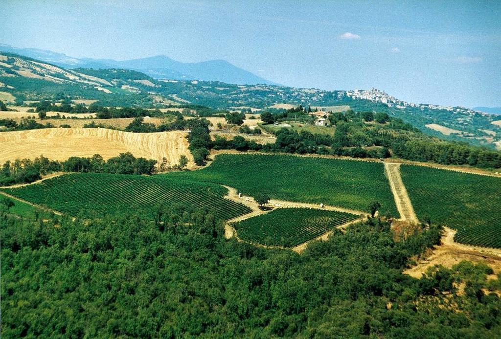 Вилла Fattoria Poggio Foco Манчиано Экстерьер фото