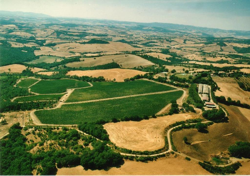 Вилла Fattoria Poggio Foco Манчиано Экстерьер фото