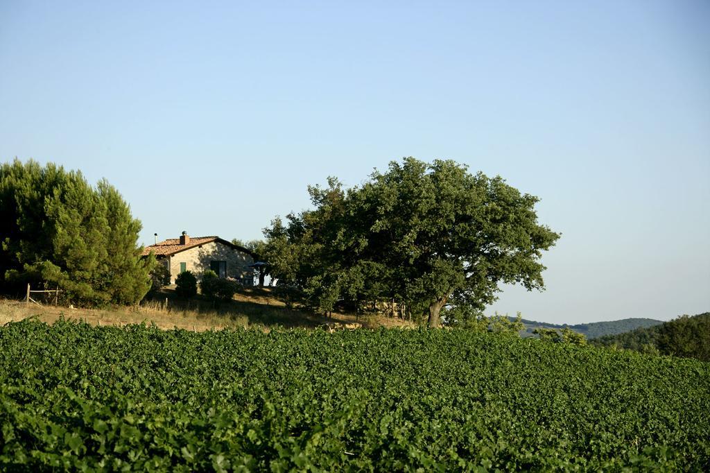 Вилла Fattoria Poggio Foco Манчиано Номер фото